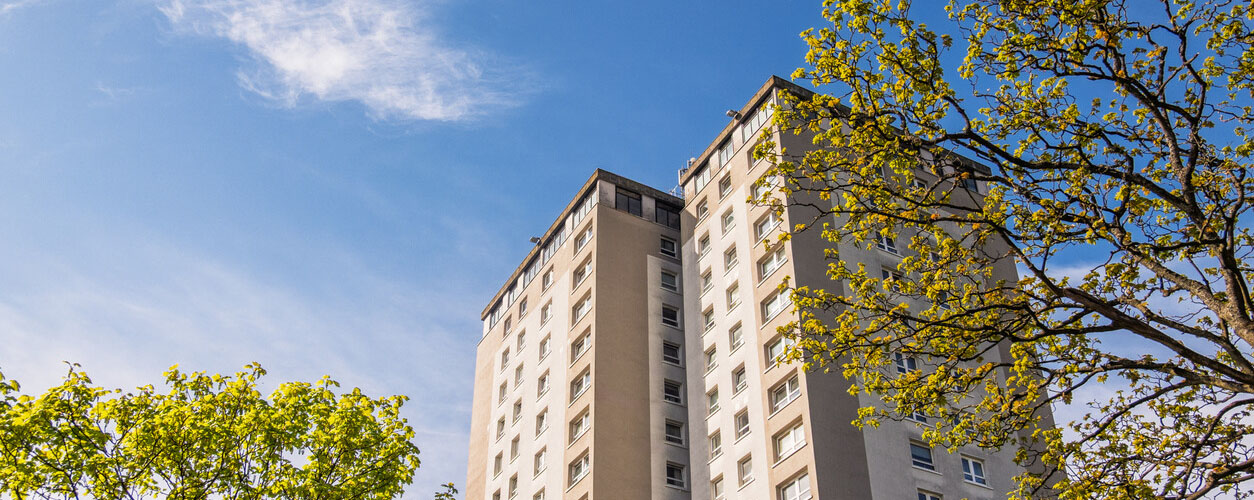 Tall apartment building under a blue sky with leafy trees in the foreground.