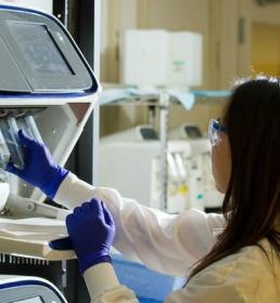 doctor analysing test results