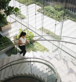 lady walking on the stairs