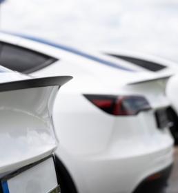 row of white cars