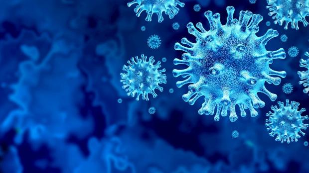 virus cells blue background coronavirus - howden updates