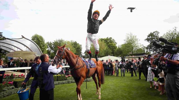 Ascot racecourse, ride jumping from horse - Howden Partner