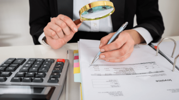 Auditor auditing a document 