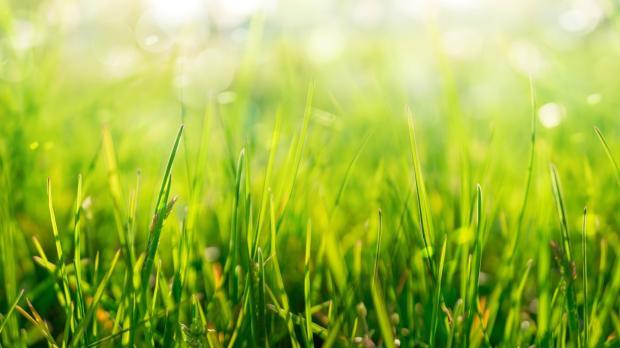 Enhancing choice for hospices