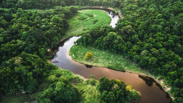 Climate and resillience