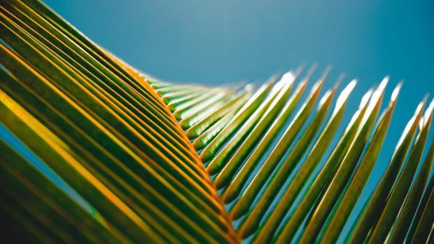 insure the UK’s deadliest 