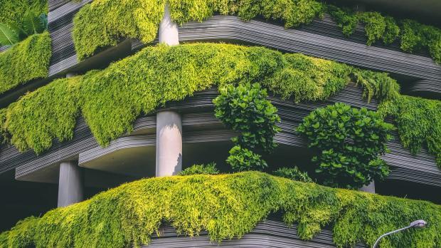 Architectural building with plants