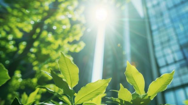 sunshine gleams through city buildings on greenery