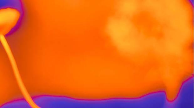 Thermal imaging photo, zoomed in