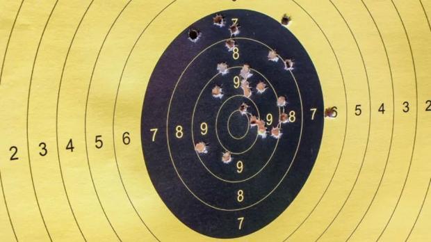 gun target board