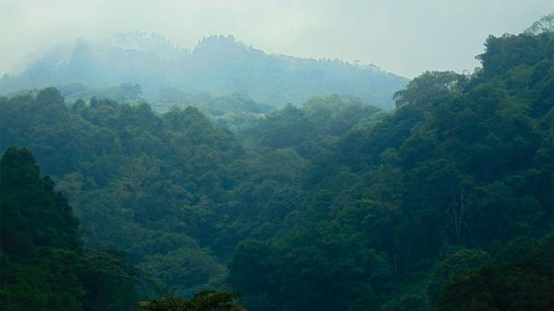 brazil-flood-report-25