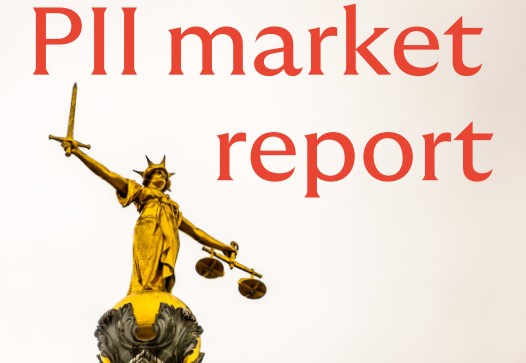 PII_market_report