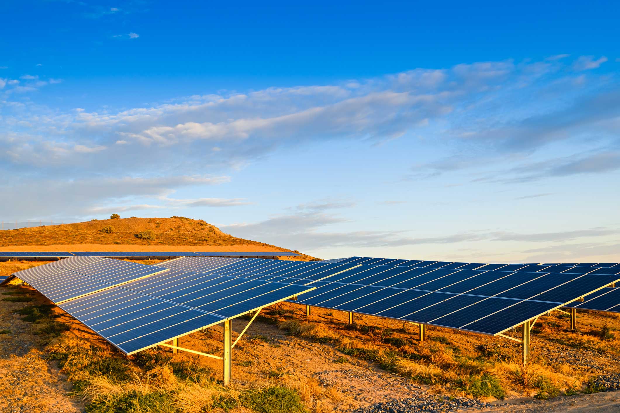 solar farm