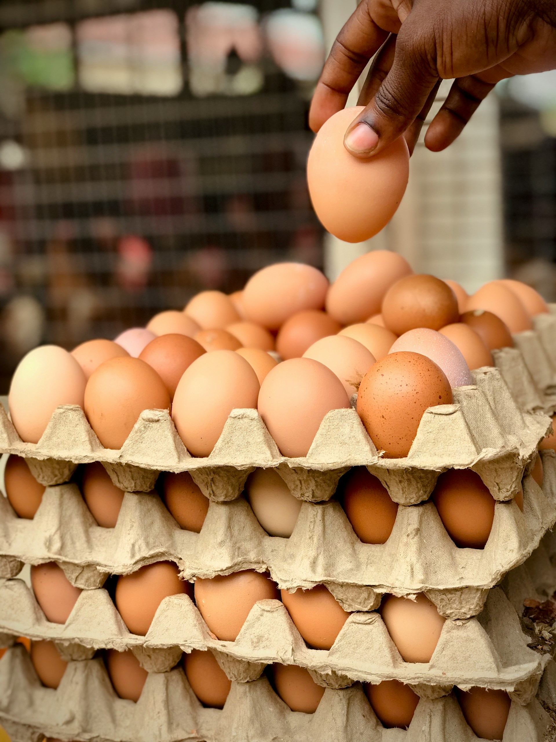 stack of egg cartons