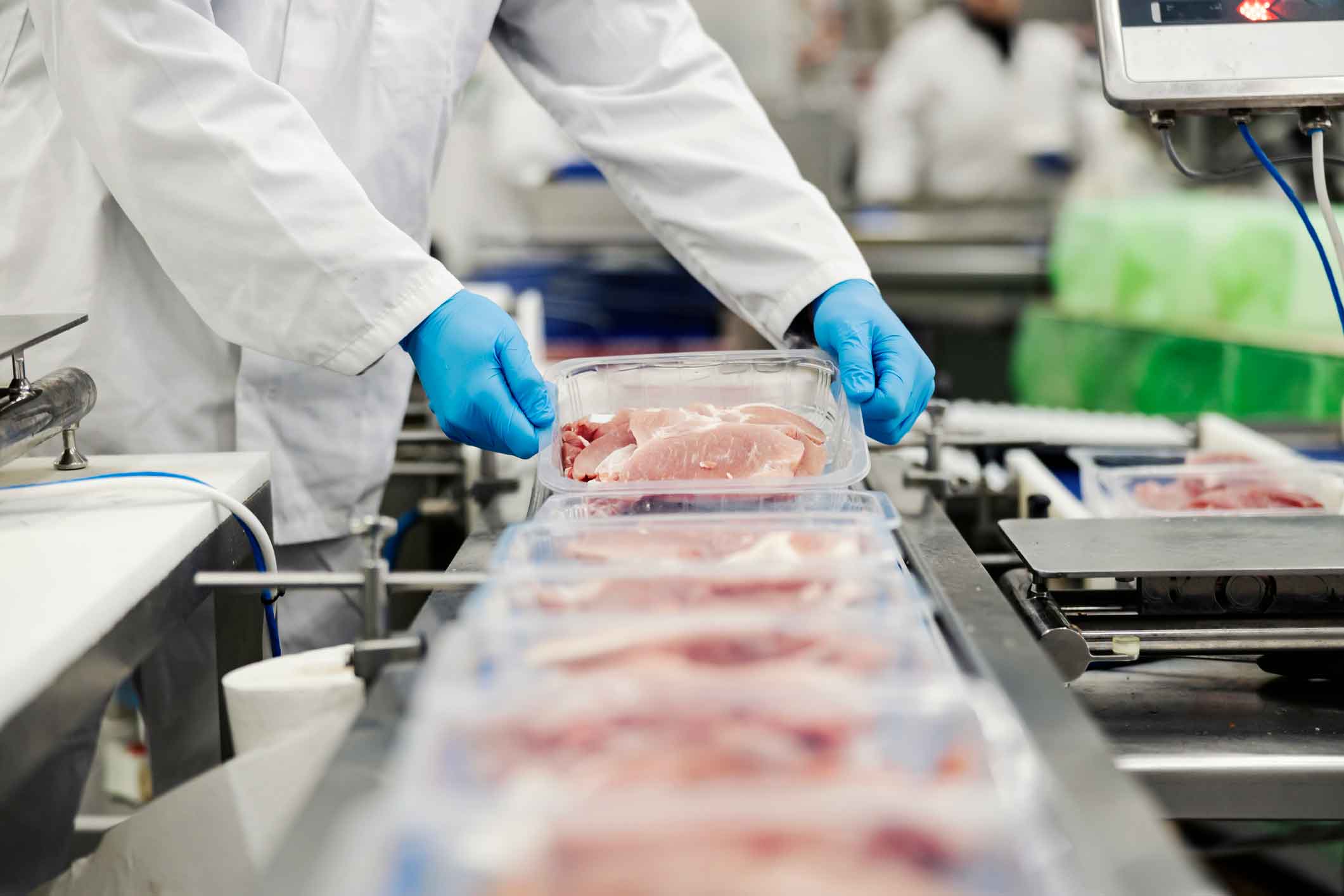 meat production line