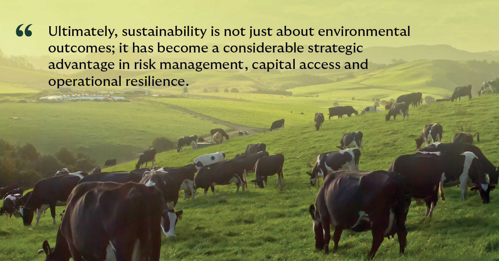 pull quote from the article on an image of an Australian farm