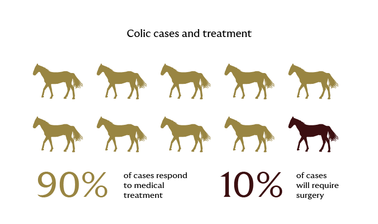 Colic cases and treatment