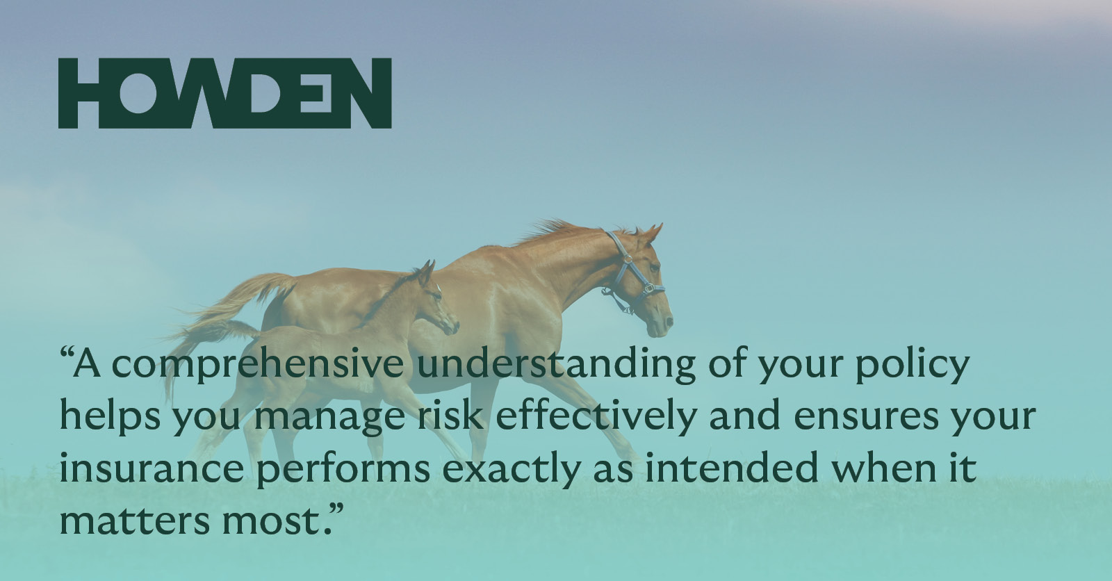 A comprehensive understanding of your policy helps you manage risk effectively and ensures your insurance performs exactly as intended when it matters most