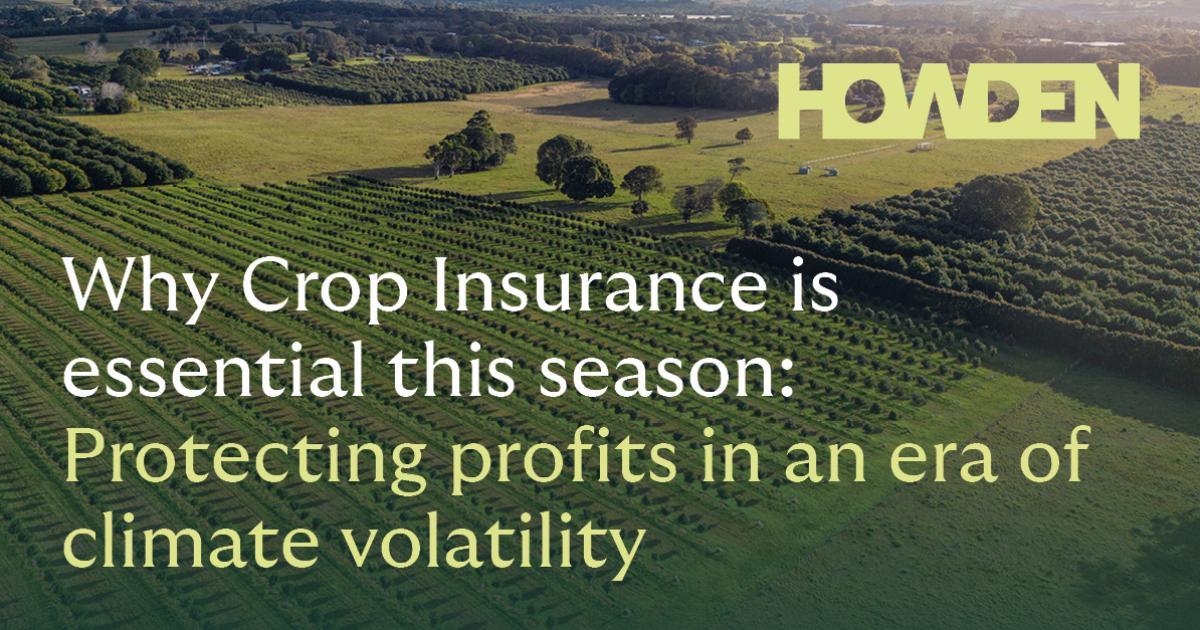 Why Crop Insurance is essential this season: protecting profits in an ...