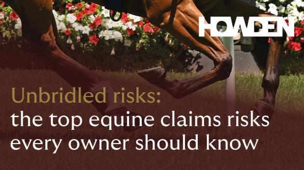 Unbridled Risks