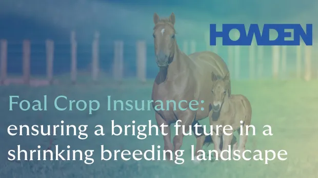 Foal Crop