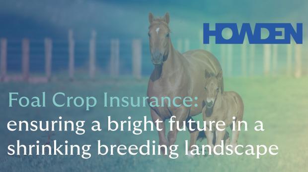 Foal Crop