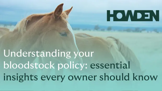 Bloodstock Policy
