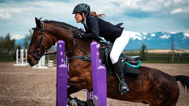 equine-division