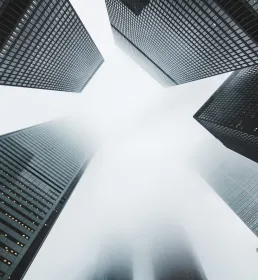 Ground shot of skyline