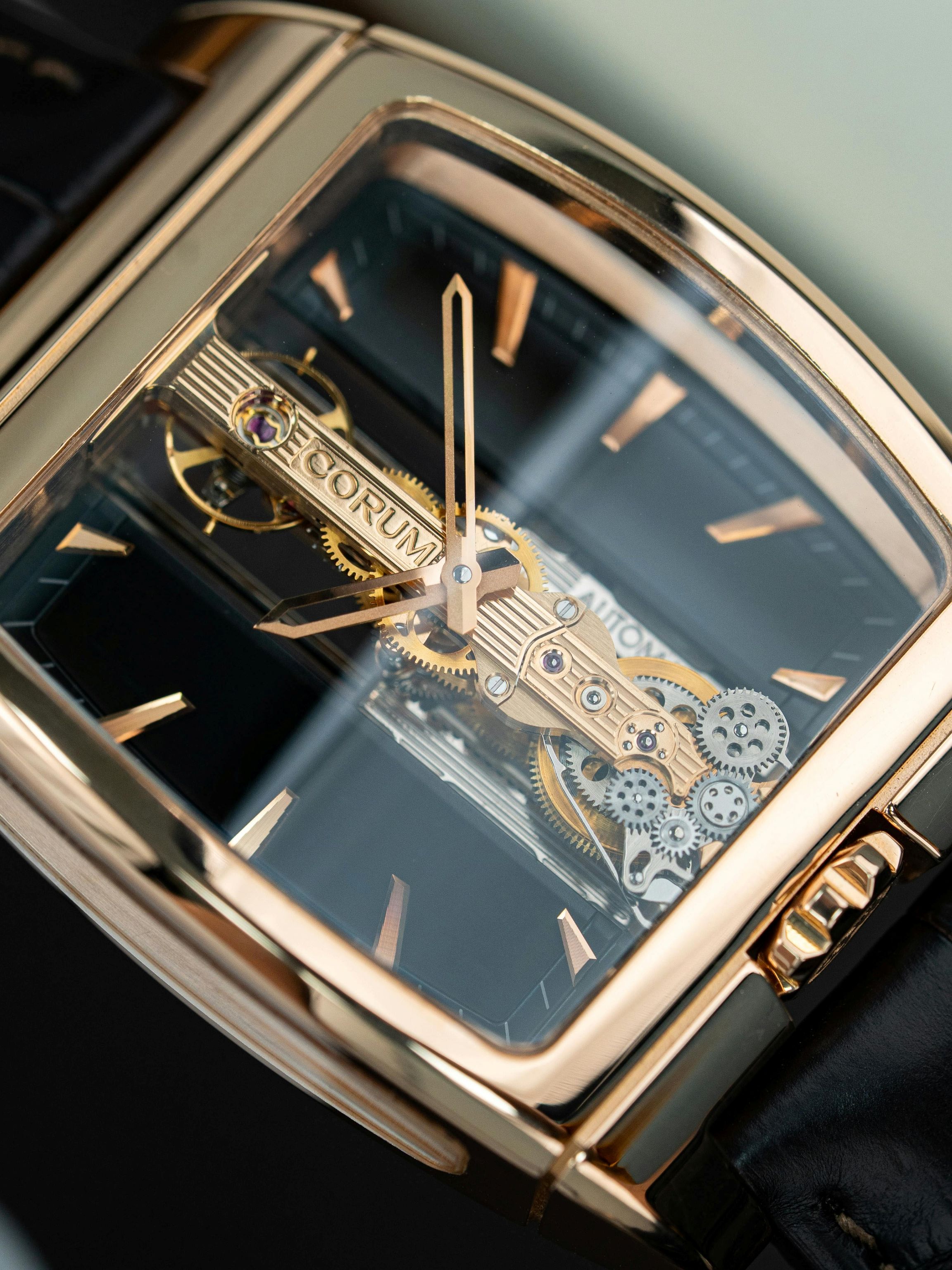 Luxury watch