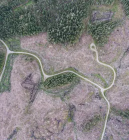 Aerial view of ruined vegetation
