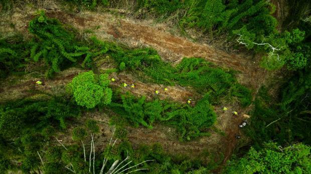 Capa relatório COP30
