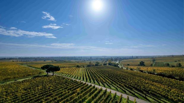 Insurance and Risk Management Tools for Agriculture in the EU