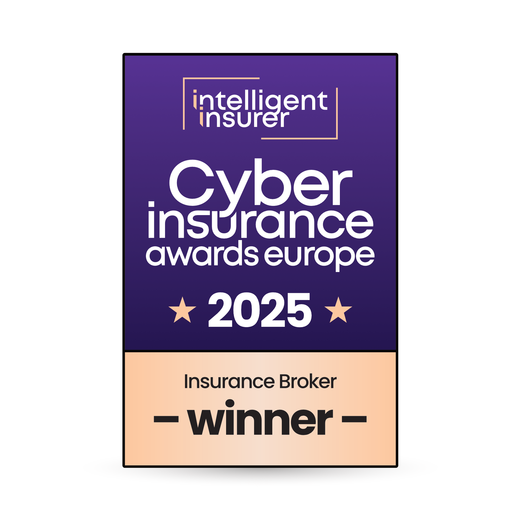 Cyber insurance award 2025