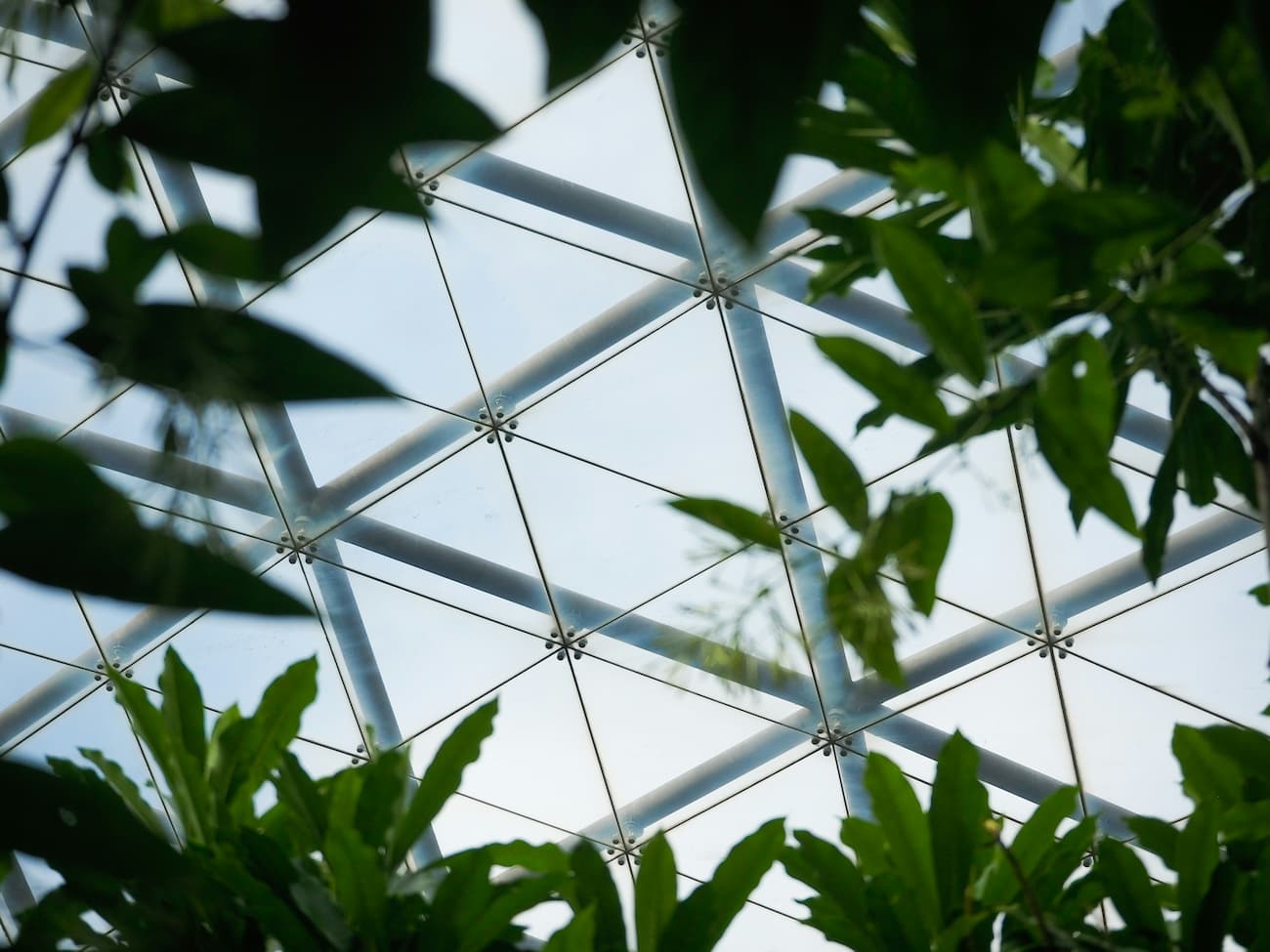 Inside of a greenhouse