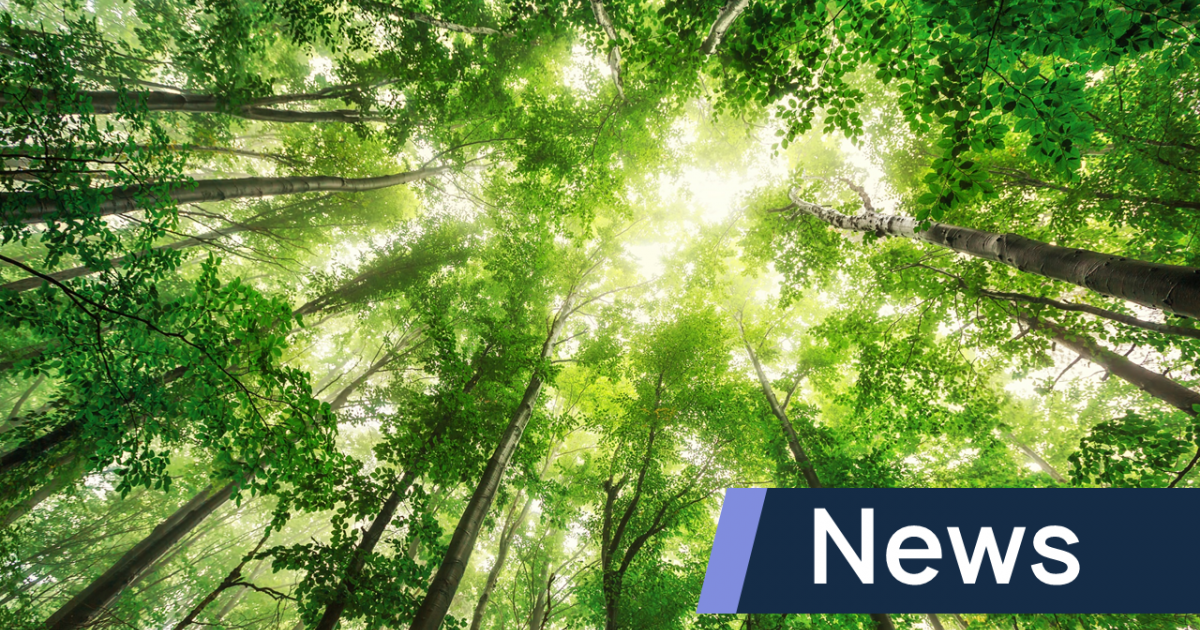 Launch of the world's first fully sustainable insurer, Parhelion