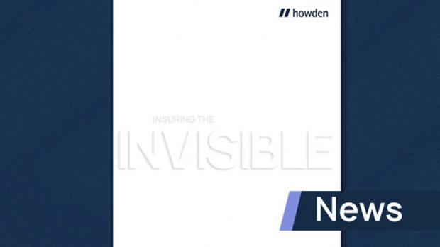 Insuring the invisible pdf booklet