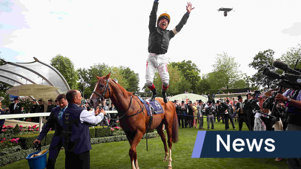 A winning jockey jumps from his horse in celebration at Ascot Racecourse