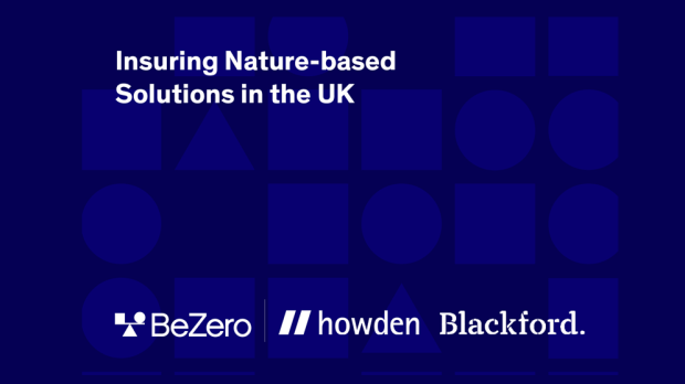 blue_border thumbnail