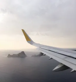 fly