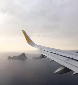 fly