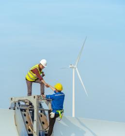 renewable