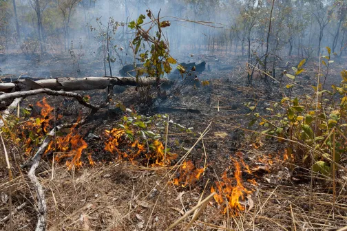 cultural burn