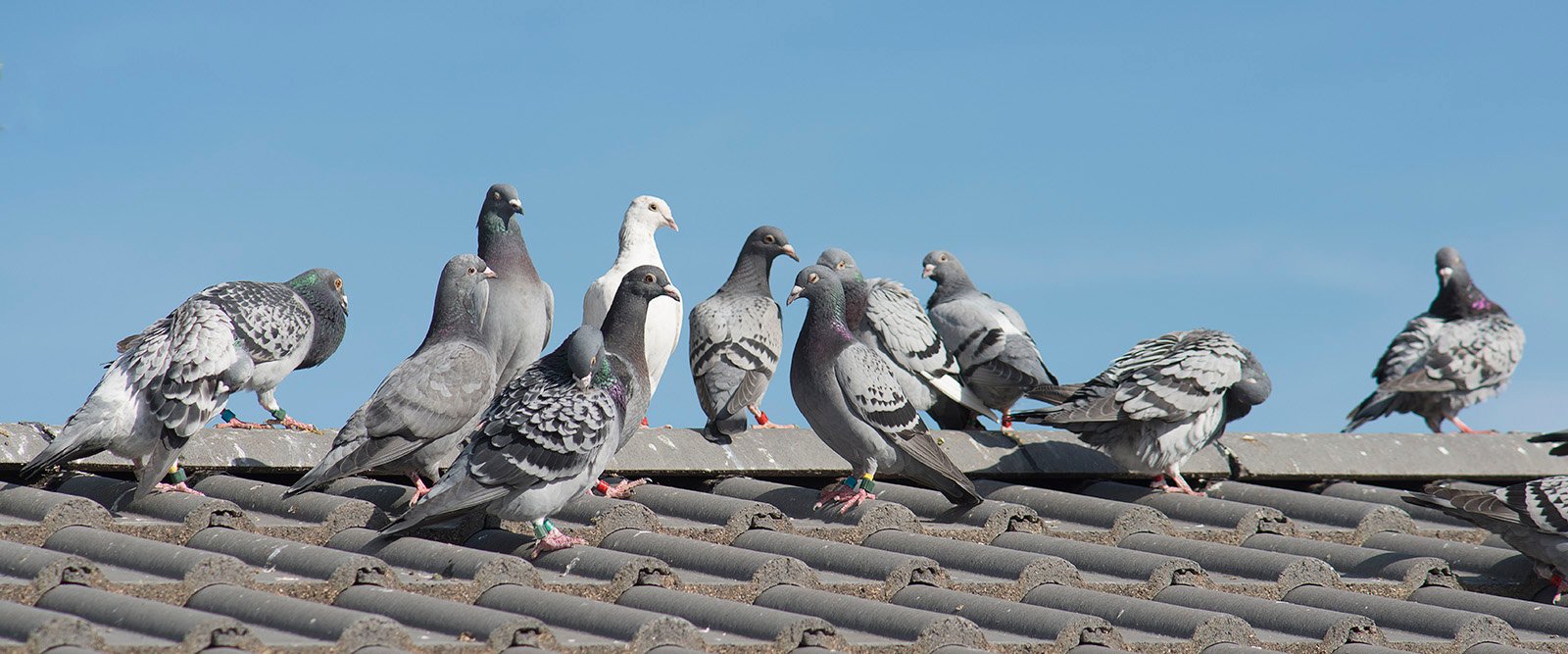 vahinkotarina-syyskuu-2021