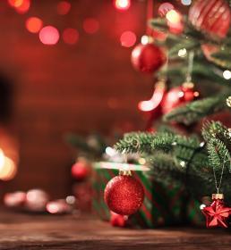 joulukuu25-vahinkotarina