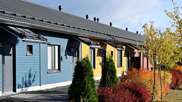 rivitalo_vahinkotarina