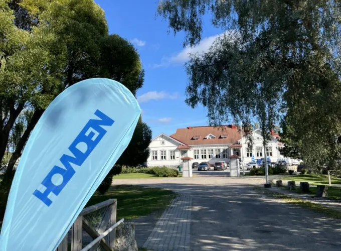 Viitasaari