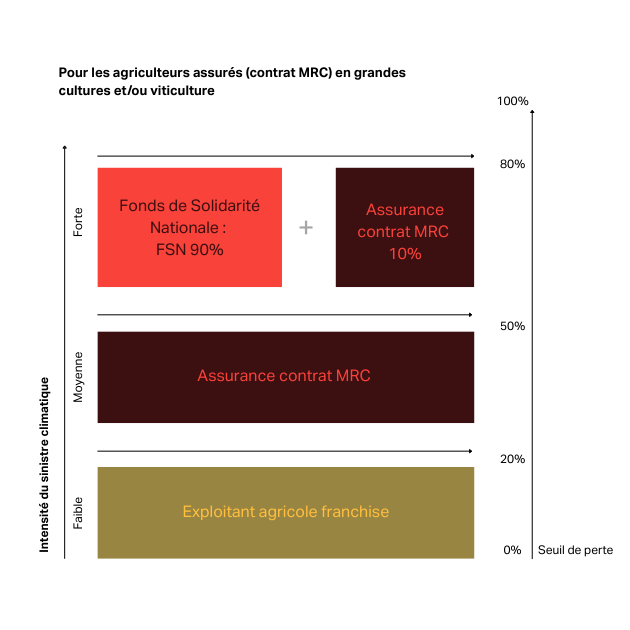 EU Climate Risk Report