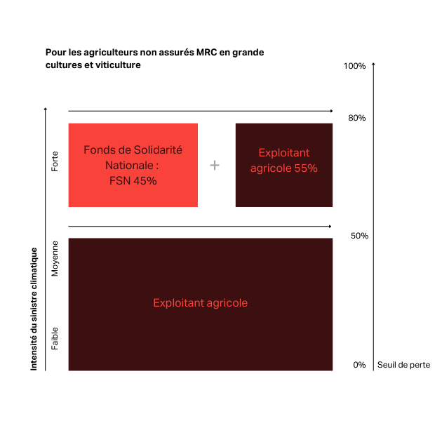 EU Climate Risk Report