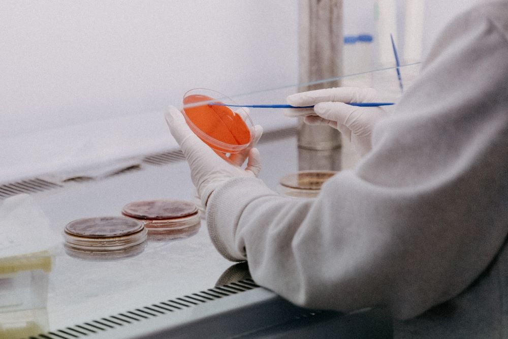 Laboratoires
